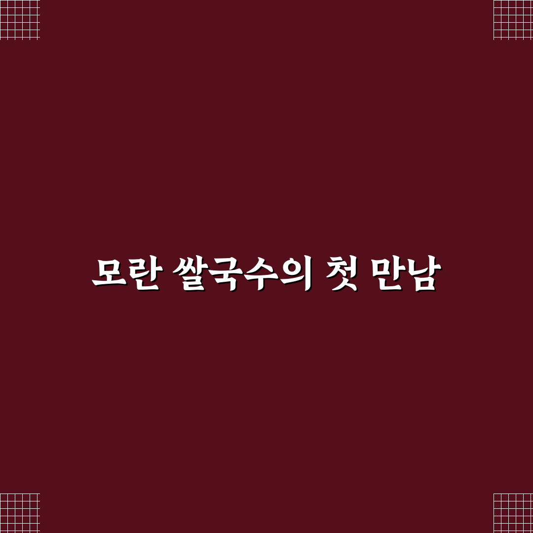 모란 쌀국수 방문 후기, 솔직한 맛과 분위기 이야기