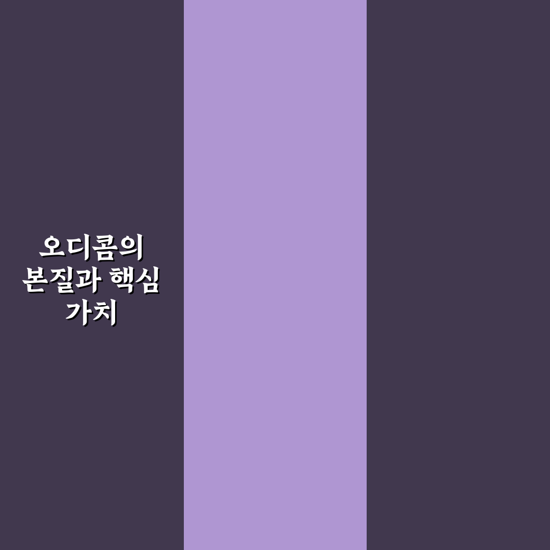 오디콤 비교와 분석을 통한 5가지 선택 기준 총정리