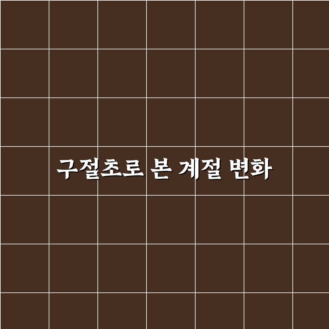 구절초 꽃피는시기별 특징과 성장환경 비교 분석 가이드