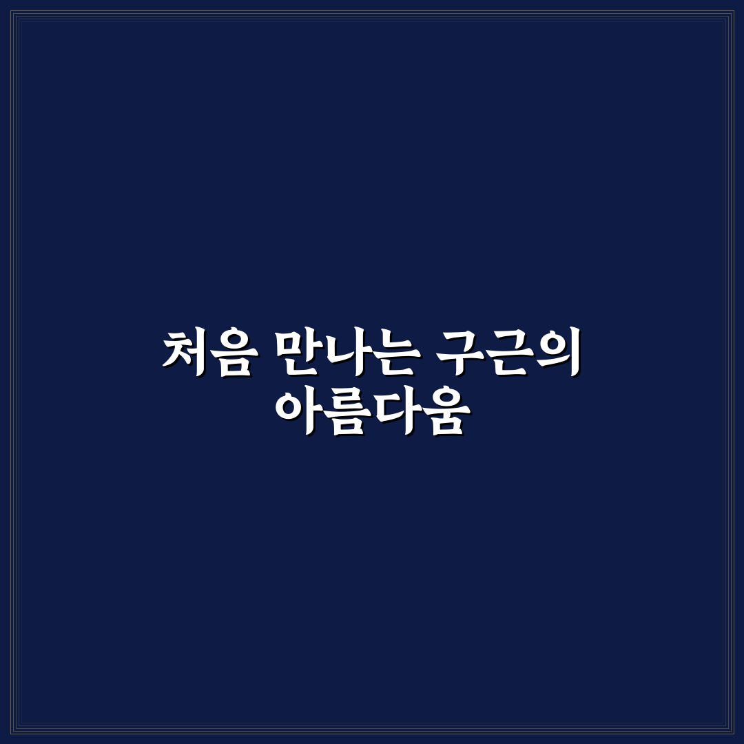 알리움 글래디에이터 사용 후기, 실사용 후 느낀 점