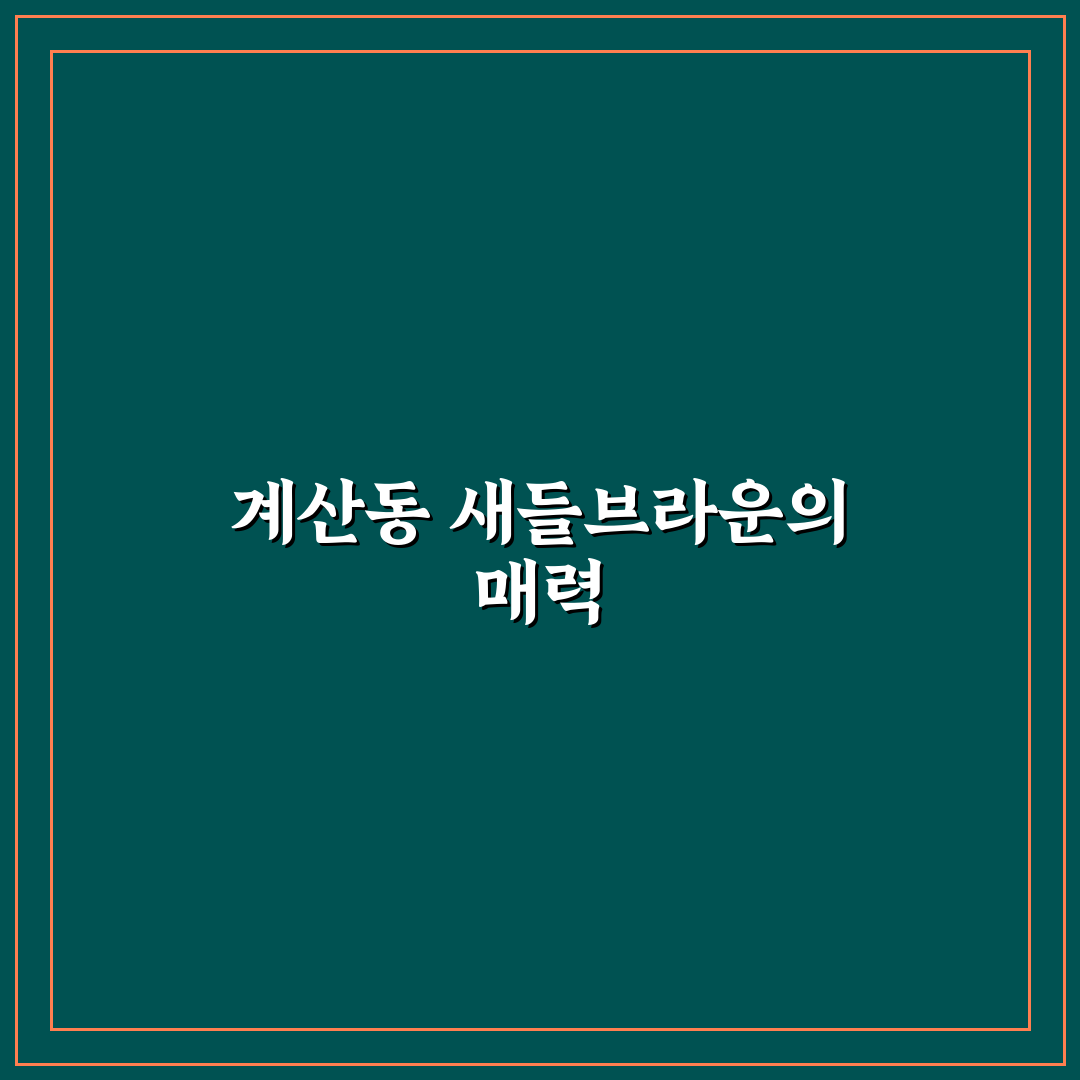 계산동 새들브라운 방문 후기, 분위기와 메뉴 솔직히 말해요