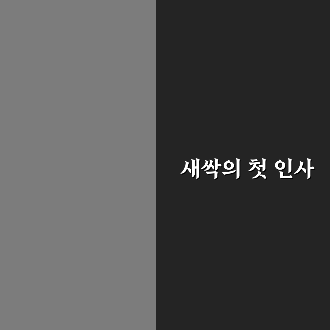 샤스타 데이지 파종 후기, 직접 해보니 어려웠던 점