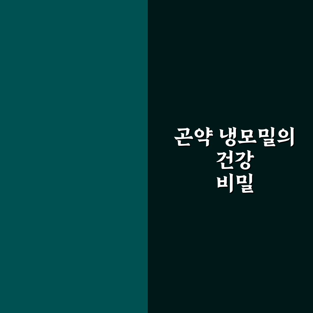 곤약 냉모밀 맛있게 만드는 꿀팁과 준비 방법