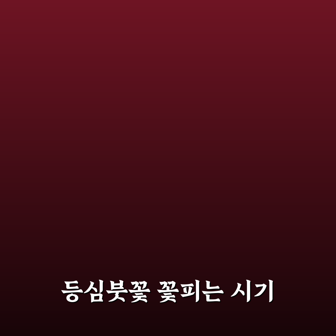 등심붓꽃 개화시기와 관리법 추천 쉽게 알려드려요