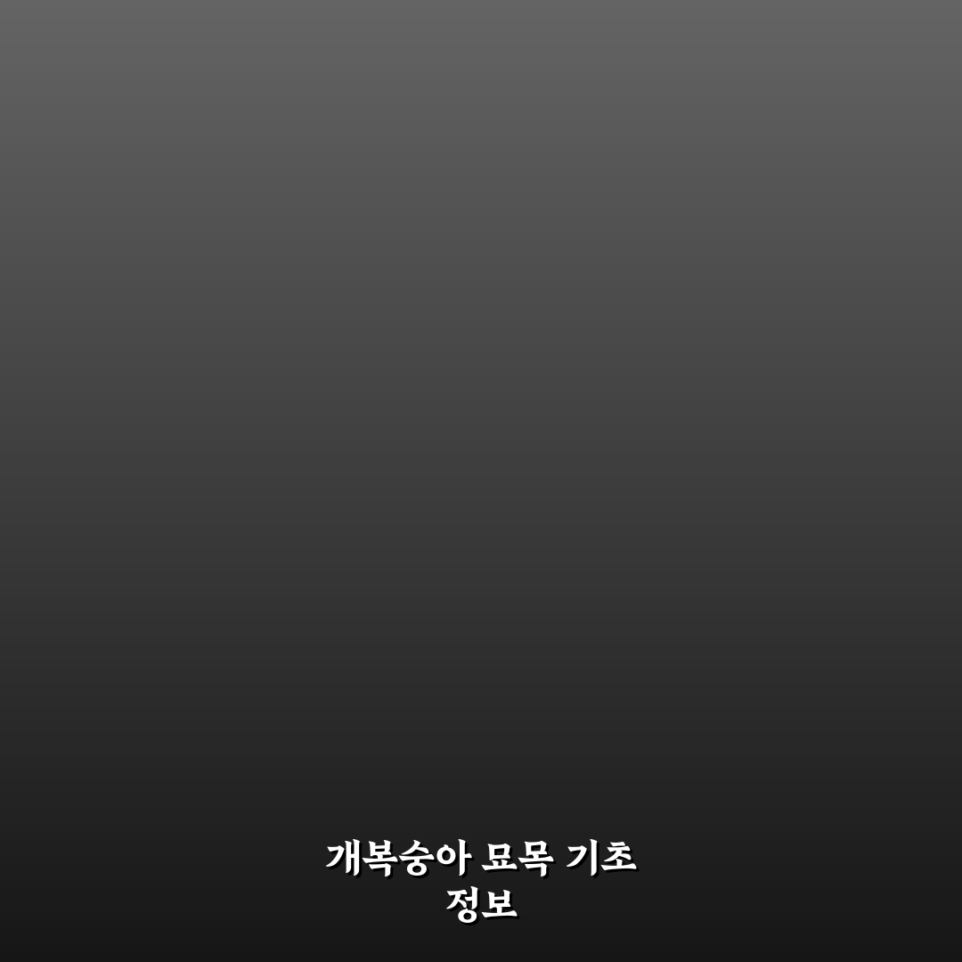 개복숭아 묘목 가격과 구매 꿀팁 쉽게 정리해드려요
