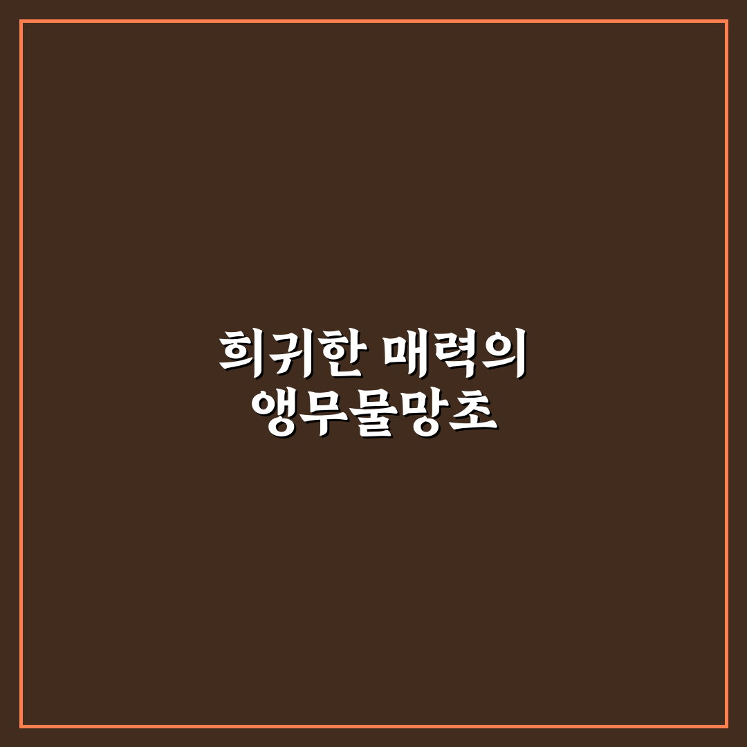 앵무물망초 키우는 법과 관리 꿀팁 알려드려요