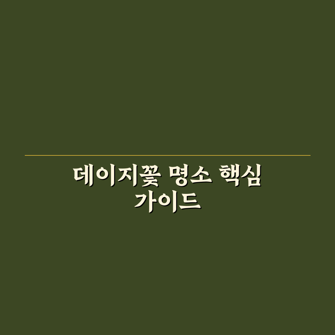 데이지꽃 명소 추천과 방문 전 꿀팁 정리