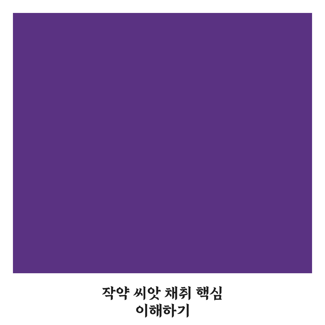 작약씨앗받는법 꿀팁 초보자도 쉽게 따라하기