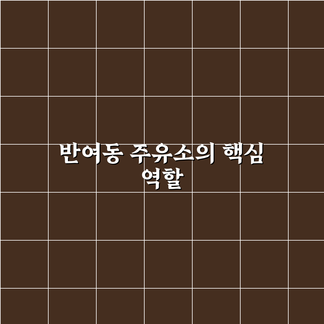 반여동 주유소 이용 꿀팁과 편리한 시설 정보 정리