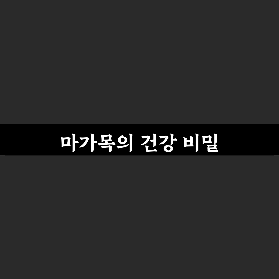 마가목 진액보감 초보자를 위한 효과와 활용법 정리