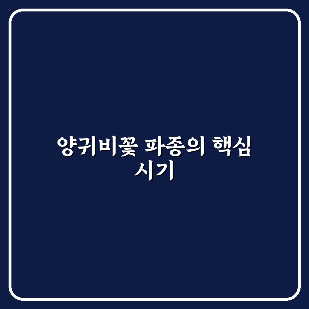 양귀비꽃 파종시기와 방법 초보자 추천 꿀팁