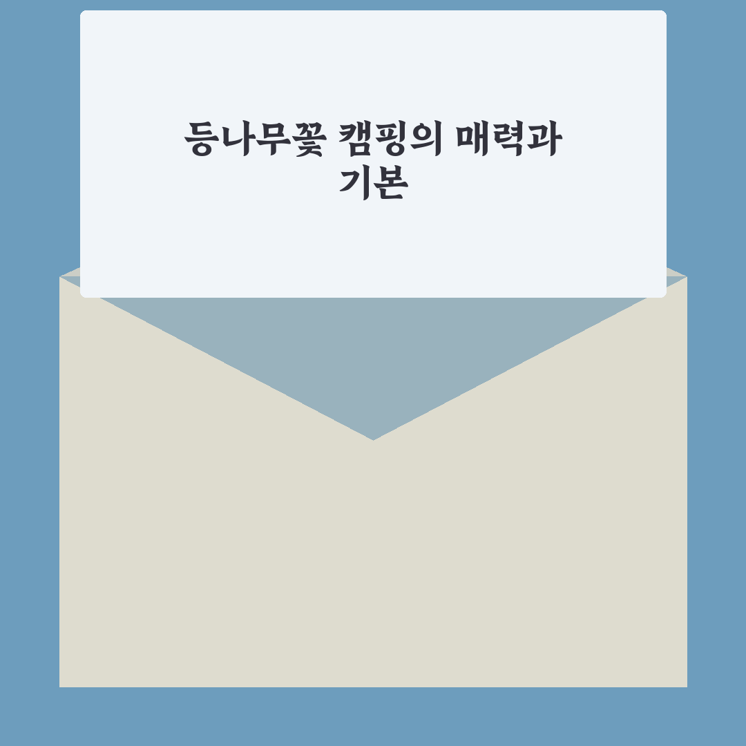 등나무꽃 캠핑장 방문 전 알아두면 좋은 꿀팁 정리