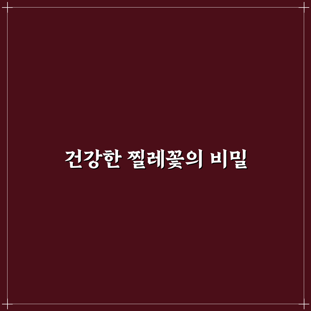 찔레꽃 키우는법 꿀팁 쉽게 배우는 초보자 가이드
