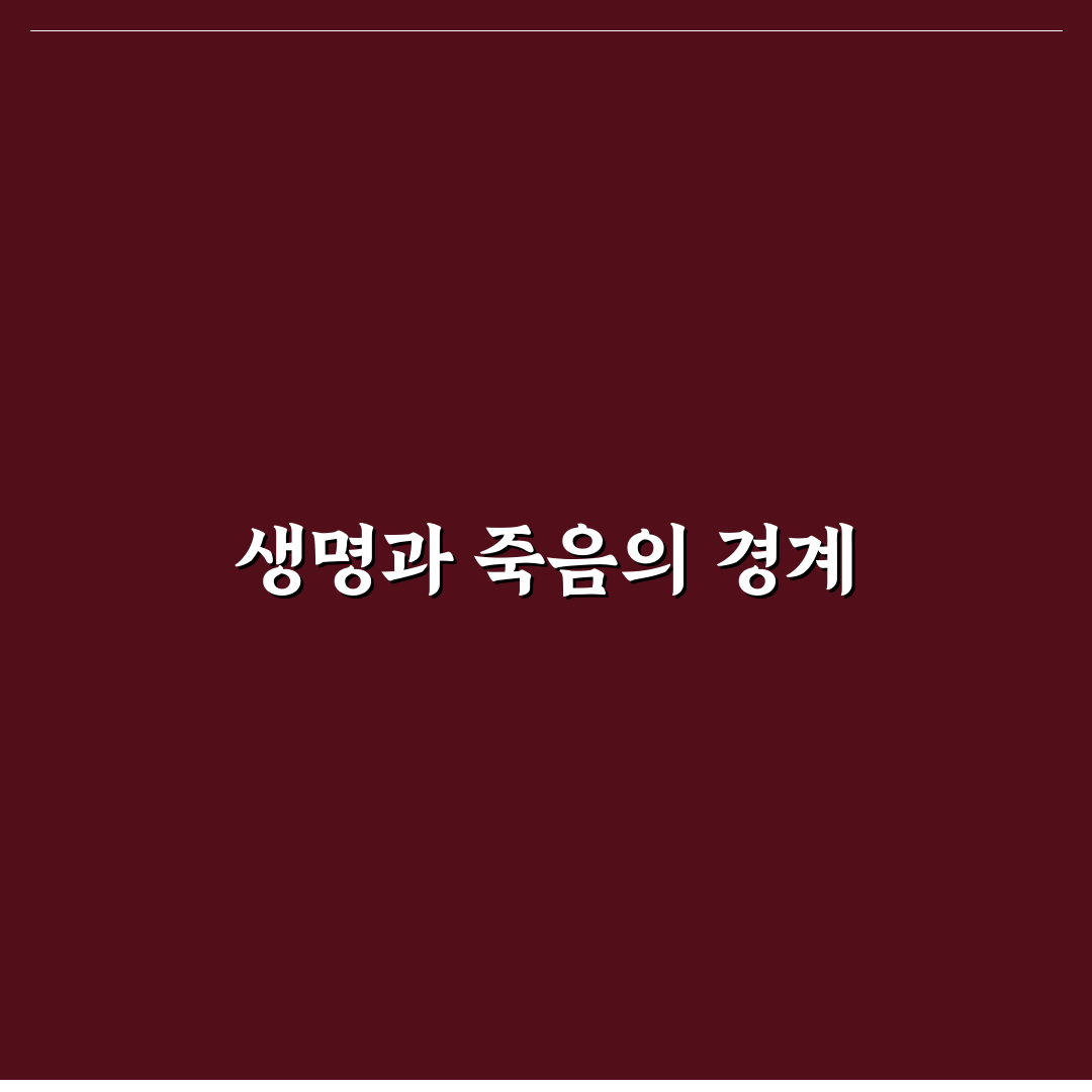 데미안 허스트 토끼 작품 특징과 추천 팁 정리