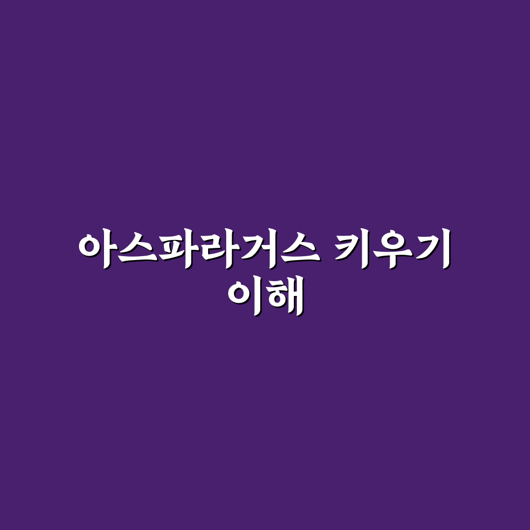 아스파라거스 메이리 키우기 꿀팁 초보자도 쉽게 배우기