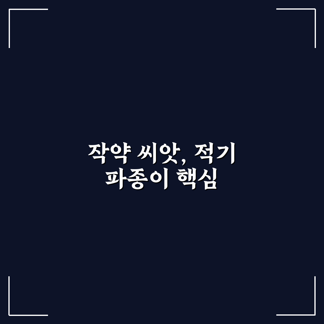 작약 씨앗 파종시기와 방법 꿀팁 쉽게 알려드려요