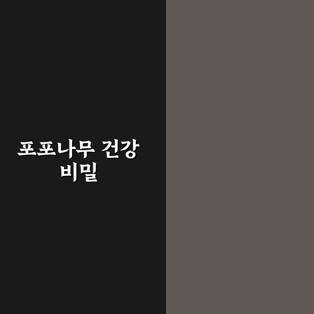 포포나무효능과 활용법 초보자도 쉽게 정리해드려요