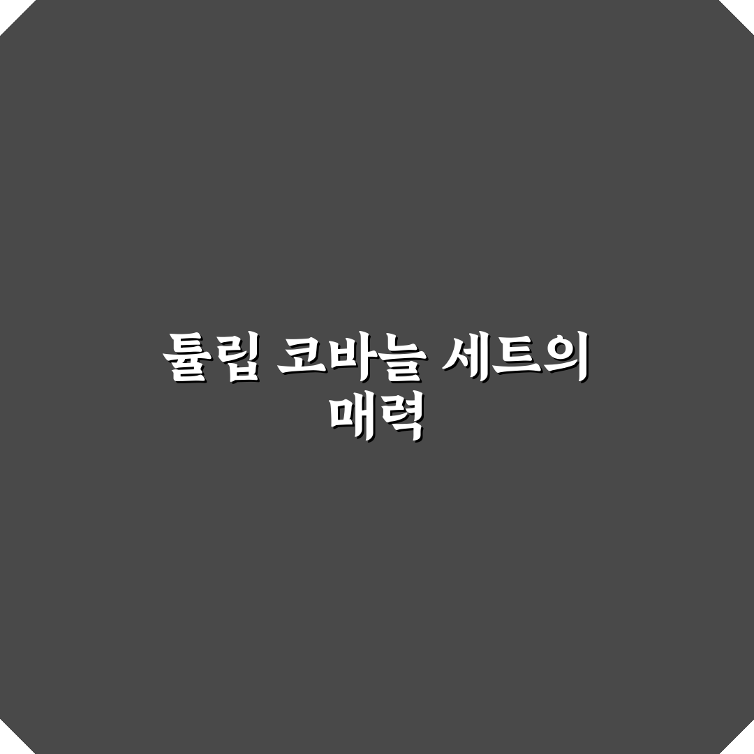 튤립 코바늘 세트 사용법과 초보자 꿀팁 정리