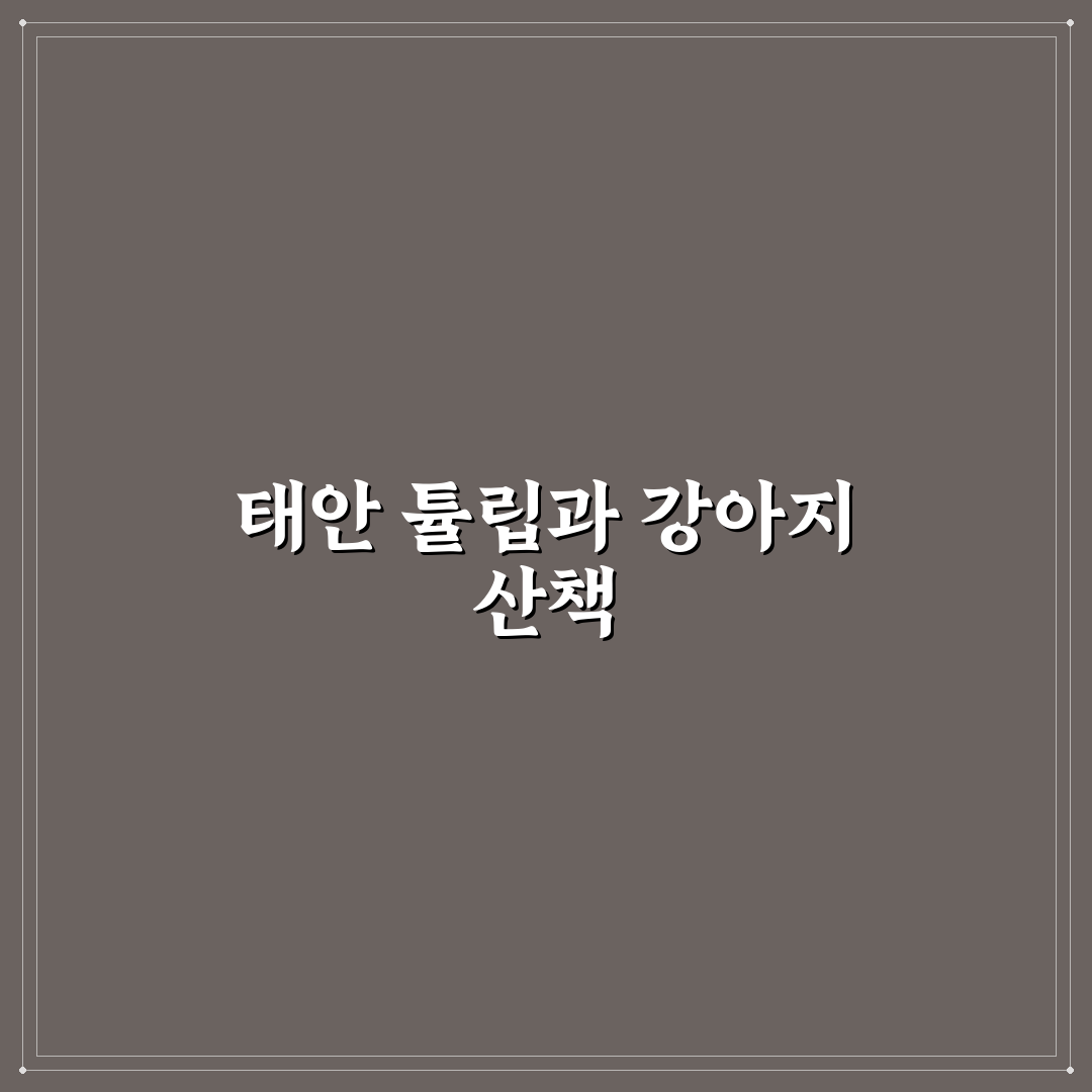 태안 튤립축제 강아지와 함께 즐기는 방문 꿀팁 알려드려요