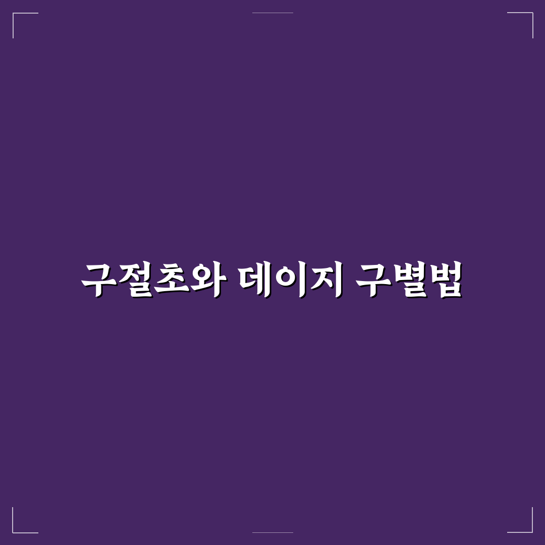 구절초 데이지 구분 방법과 꿀팁 쉽게 알려드려요