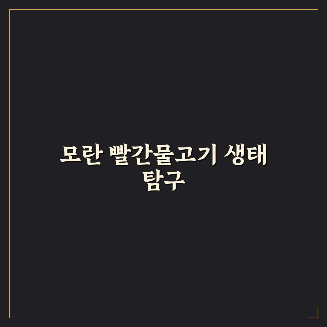 모란 빨간물고기 키우기 꿀팁과 관리법 정리