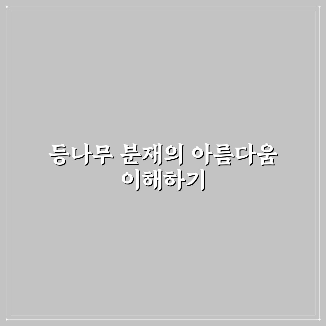 등나무 분재 만들기 꿀팁과 초보자용 관리 방법