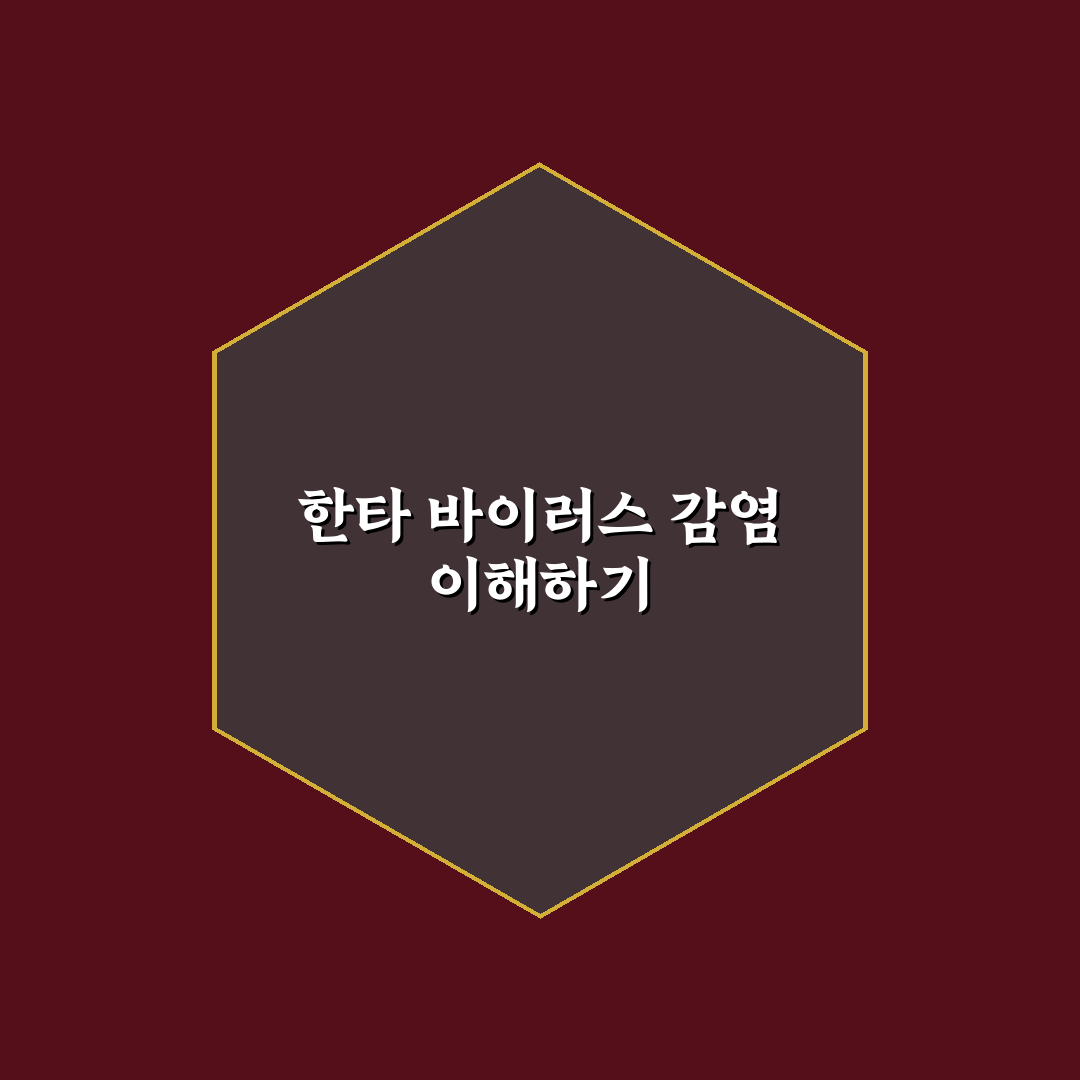 한타 바이러스 감염률과 대응 방법 쉽게 알려드려요