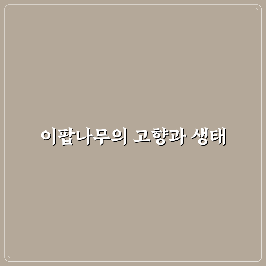 이팝나무 원산지와 특징 한눈에 알아보는 꿀팁