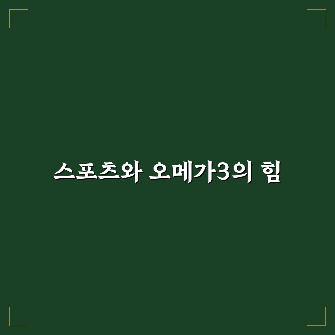 오메가3 스포츠 리서치 추천과 효능 쉽게 알려드려요