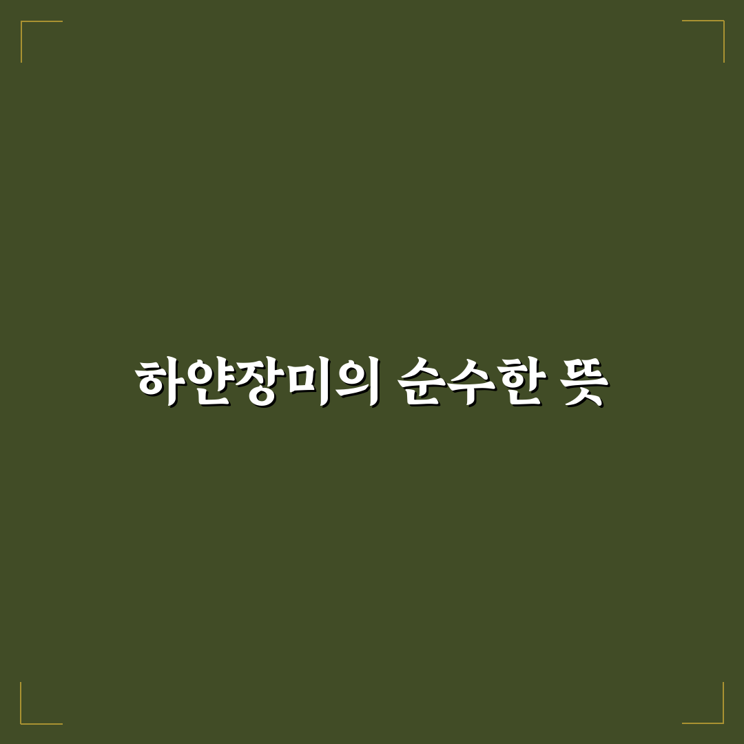 하얀장미 꽃말과 의미 쉽게 알려드려요