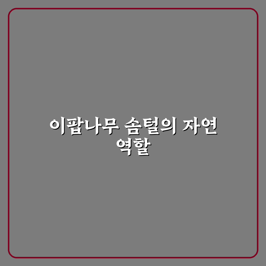 이팝나무 솜털 특징과 관리법 꿀팁 알려드려요