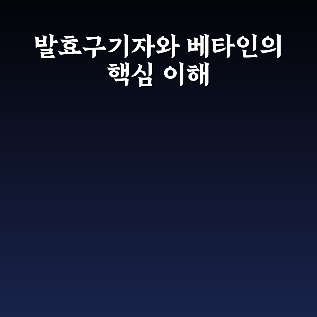 발효구기자프리미엄베타인 효과와 섭취법 꿀팁 알려드려요