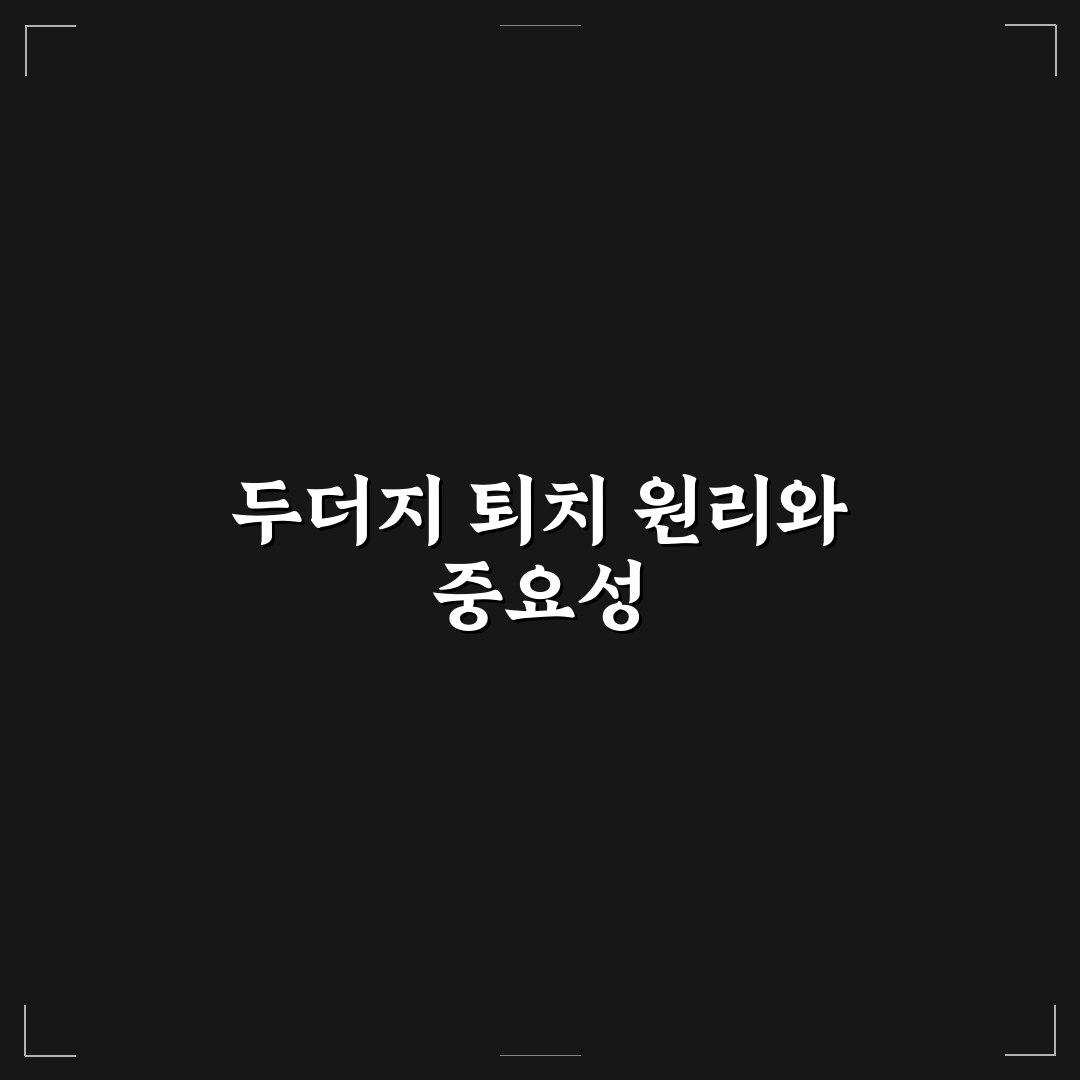두더지 퇴치기계 사용법과 효과 비교 꿀팁 알려드려요