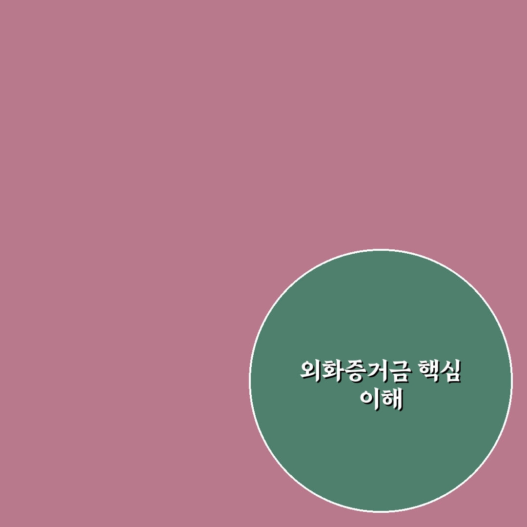 외화증거금 뜻과 핵심 내용 쉽게 정리해드려요