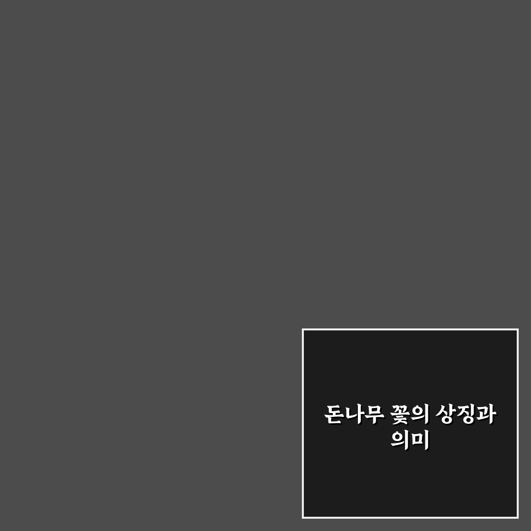 돈나무 꽃 피면 변화와 관리 꿀팁 알려드려요