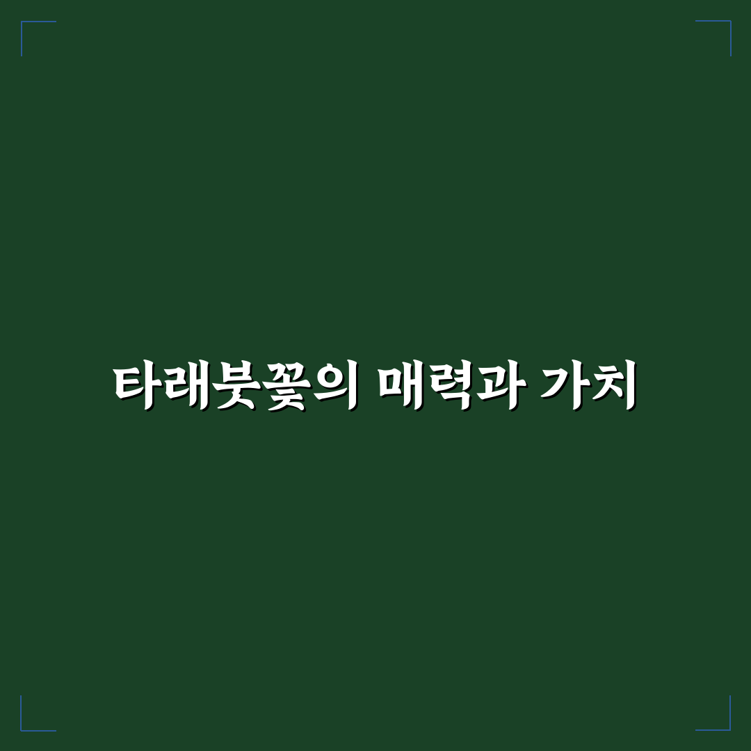 타래붓꽃 키우기 방법과 관리 꿀팁 정리