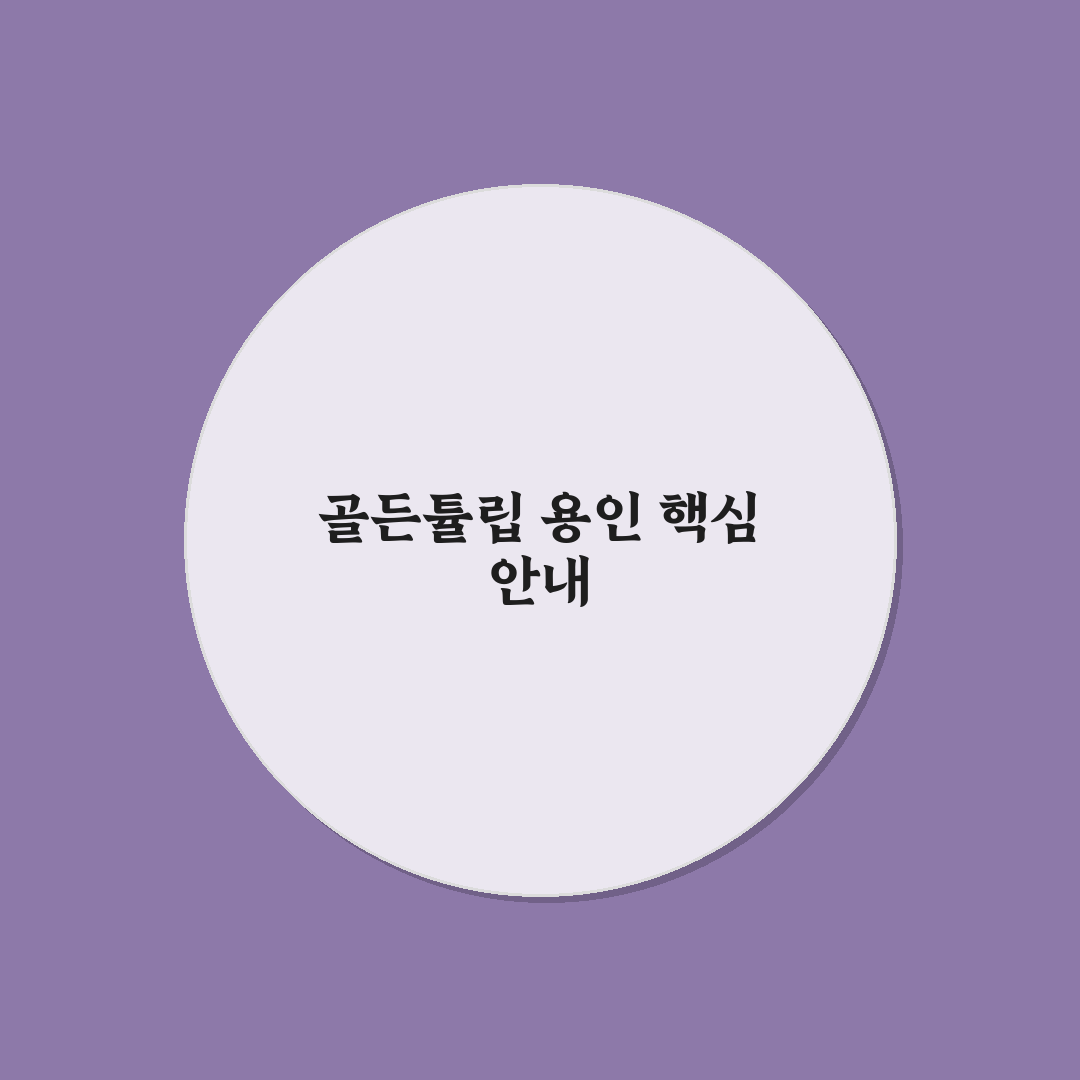 골든튤립 용인 숙박 후기와 꿀팁 함께 알려드려요