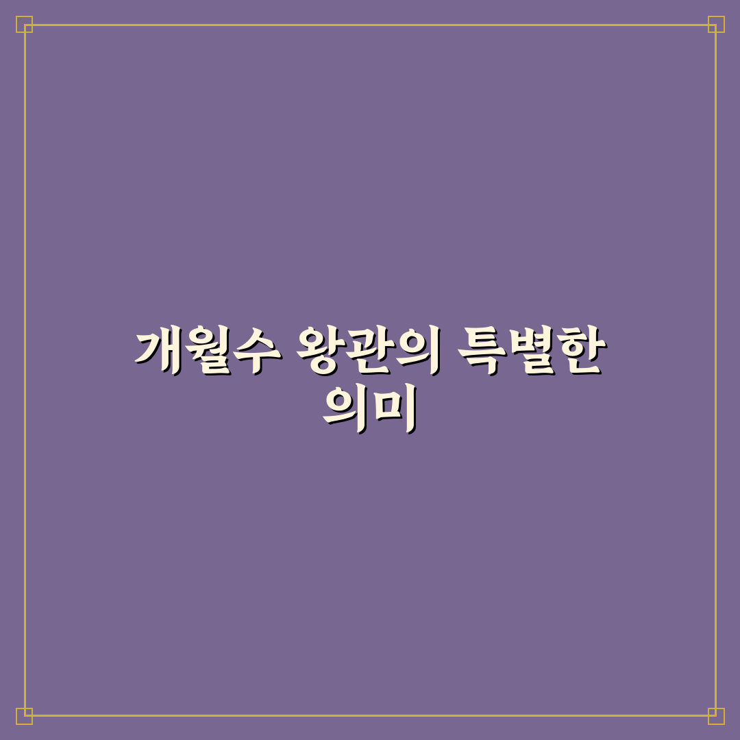 개월수 왕관 선택 꿀팁과 활용 방법 정리