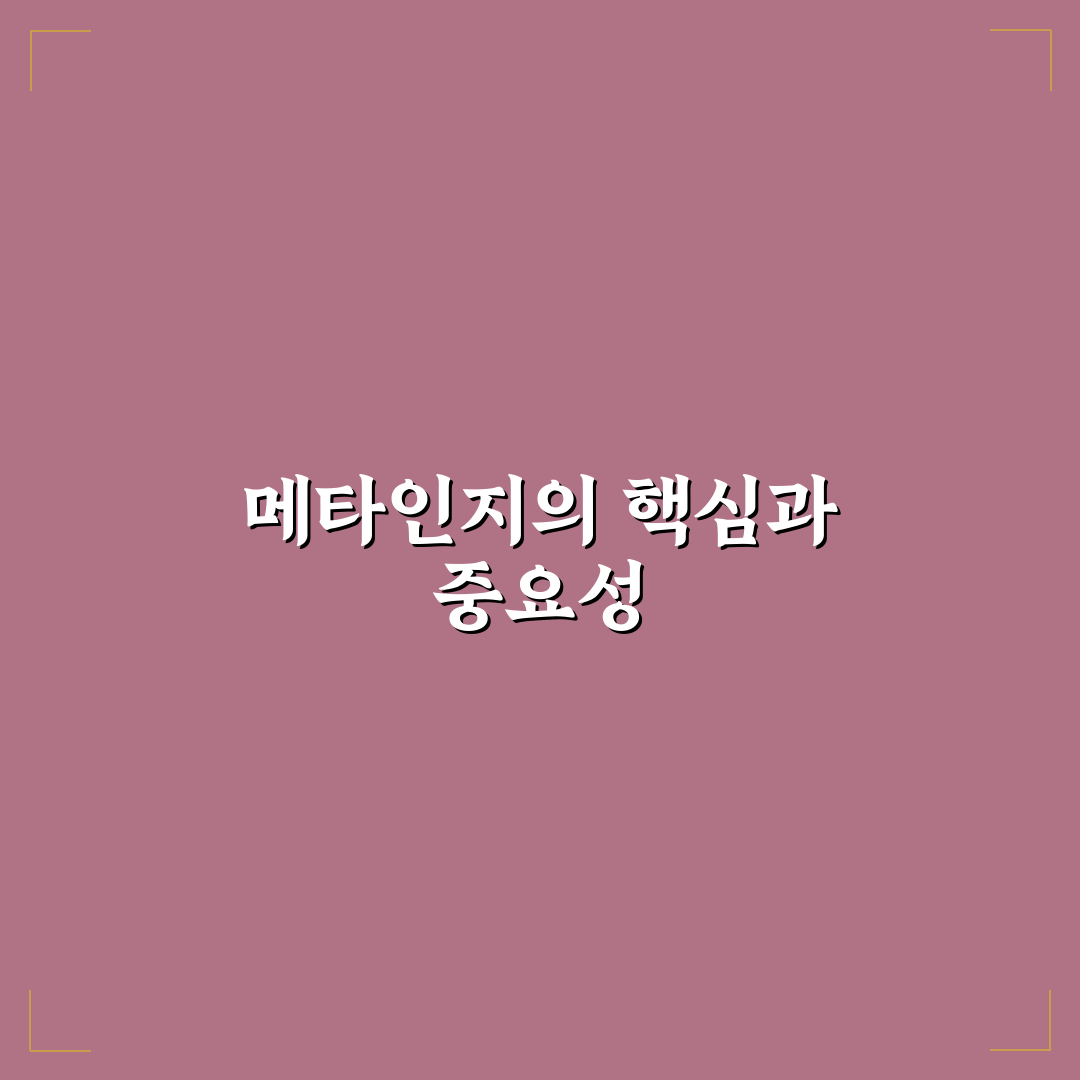 플스포 메타인지 이해와 활용 꿀팁 정리