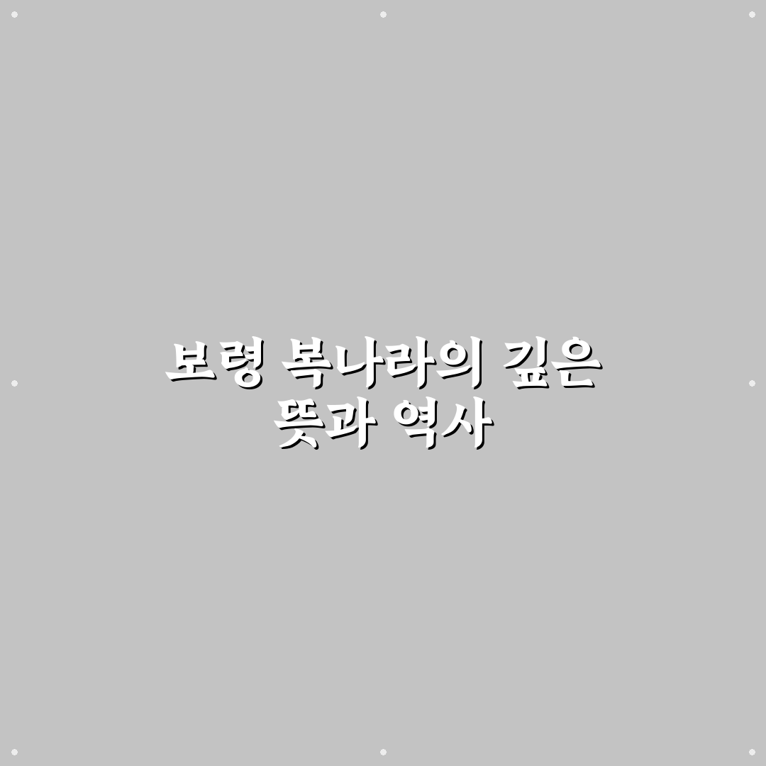 보령 복나라 방문 전 알아두면 좋은 꿀팁 정리