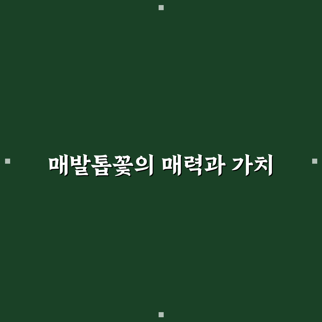 매발톱꽃 키우기 꿀팁 초보자도 쉽게 배우는 방법