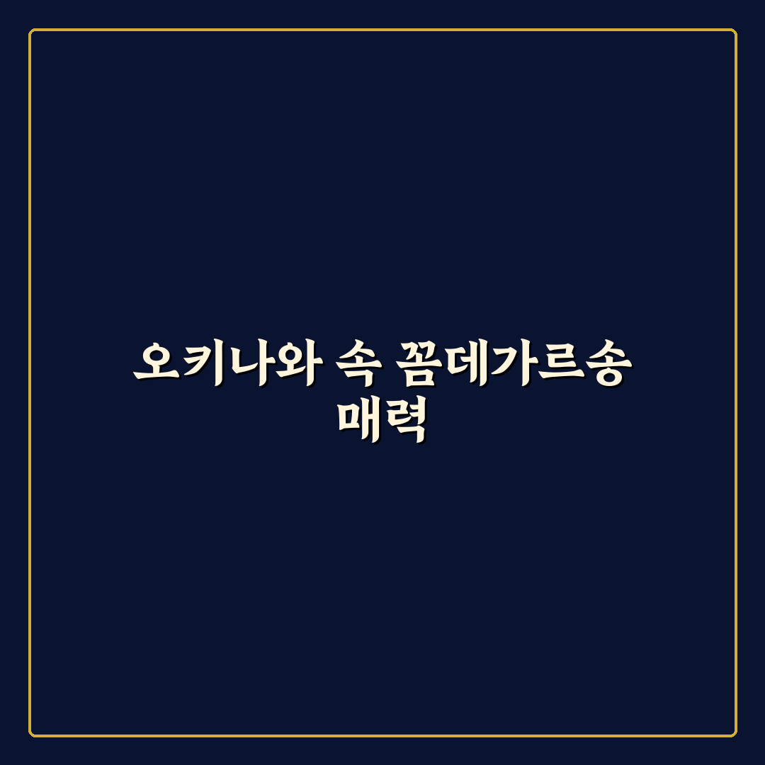 오키나와 꼼데가르송 방문 꿀팁과 추천 아이템 정리