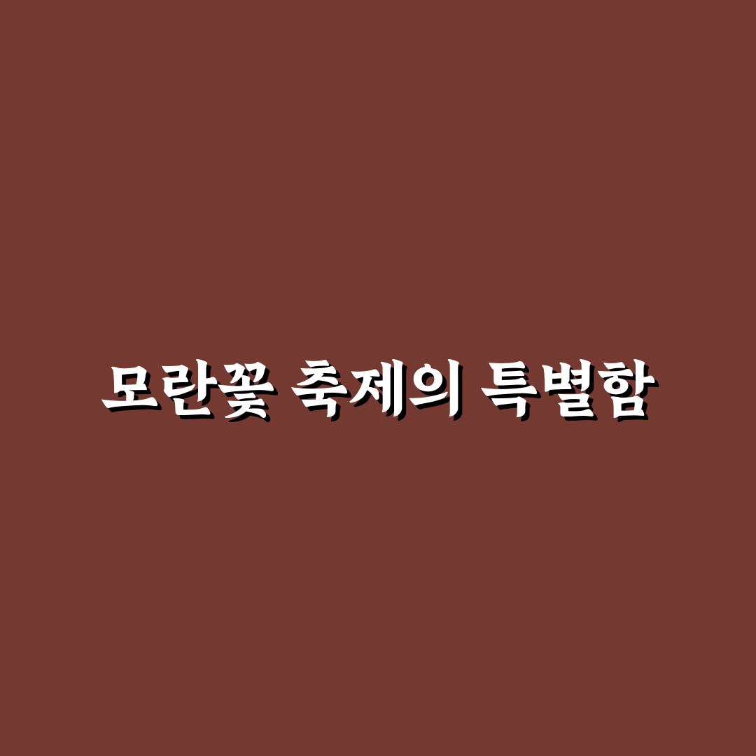 모란꽃 축제 방문 꿀팁과 즐길 거리 정리