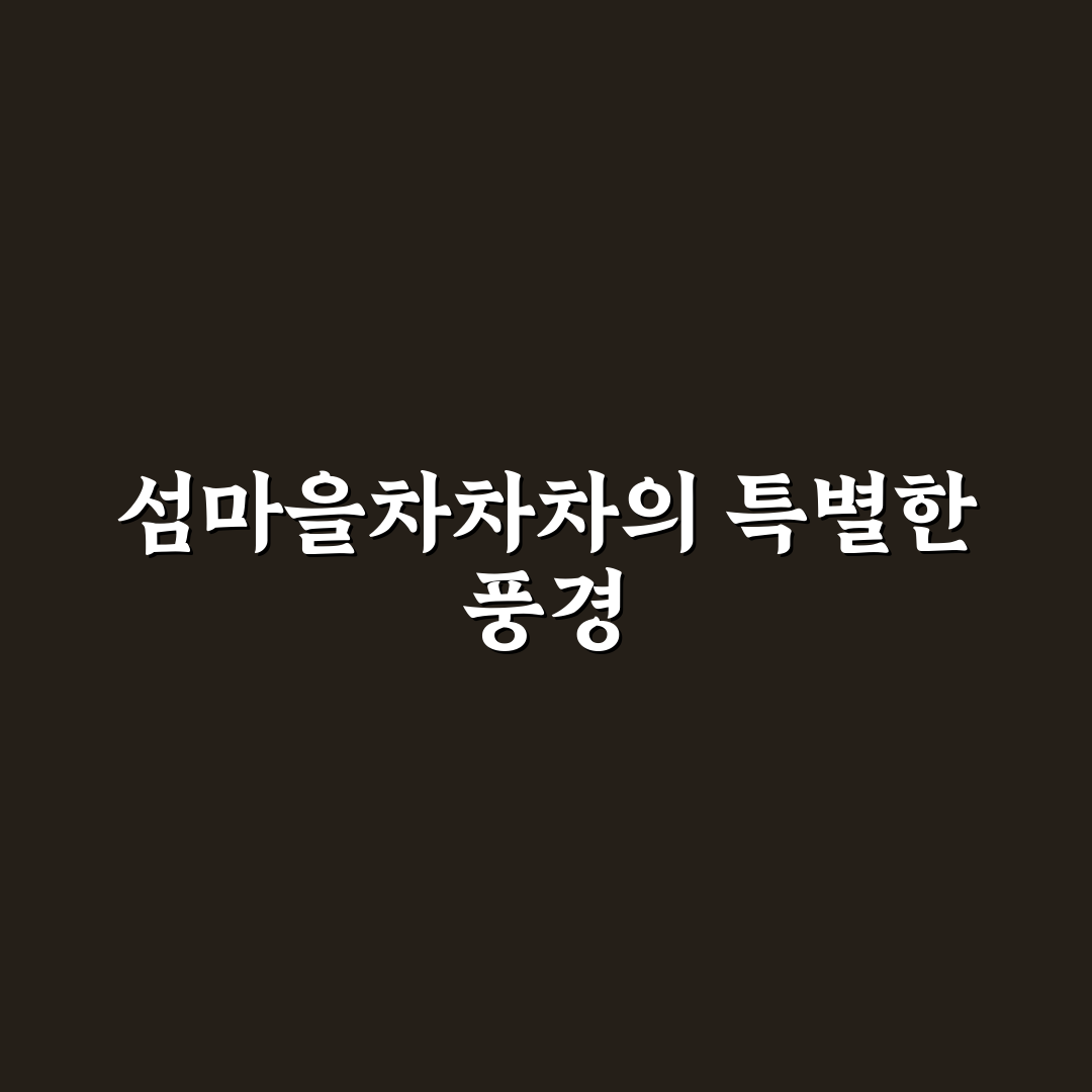 섬마을차차차 촬영지 위치와 방문 꿀팁 공유