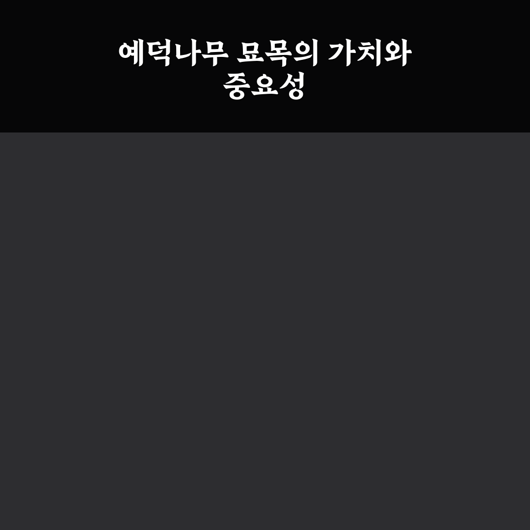 예덕나무 묘목 키우기 꿀팁과 관리 방법 정리