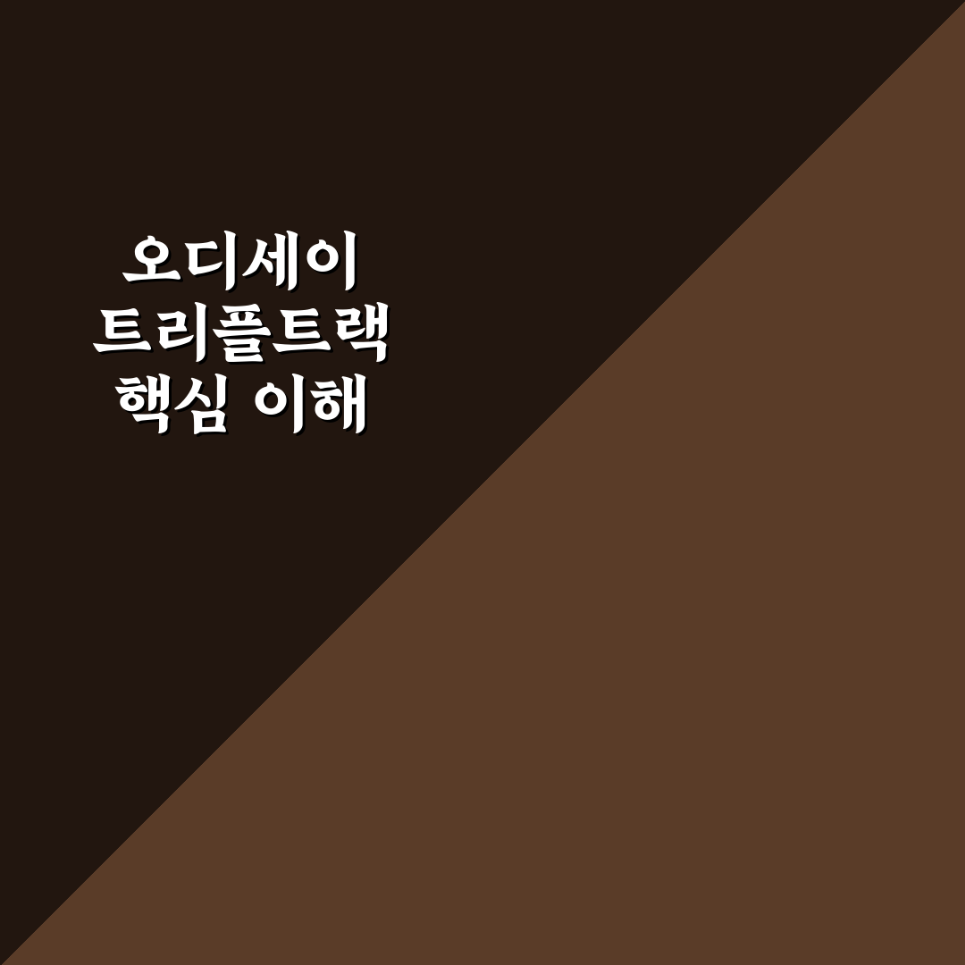 오디세이 트리플트랙 7 사용법과 꿀팁 정리