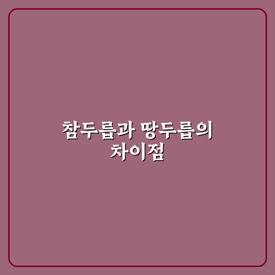 참두릅 땅두릅 차이와 특징 쉽게 알려드려요