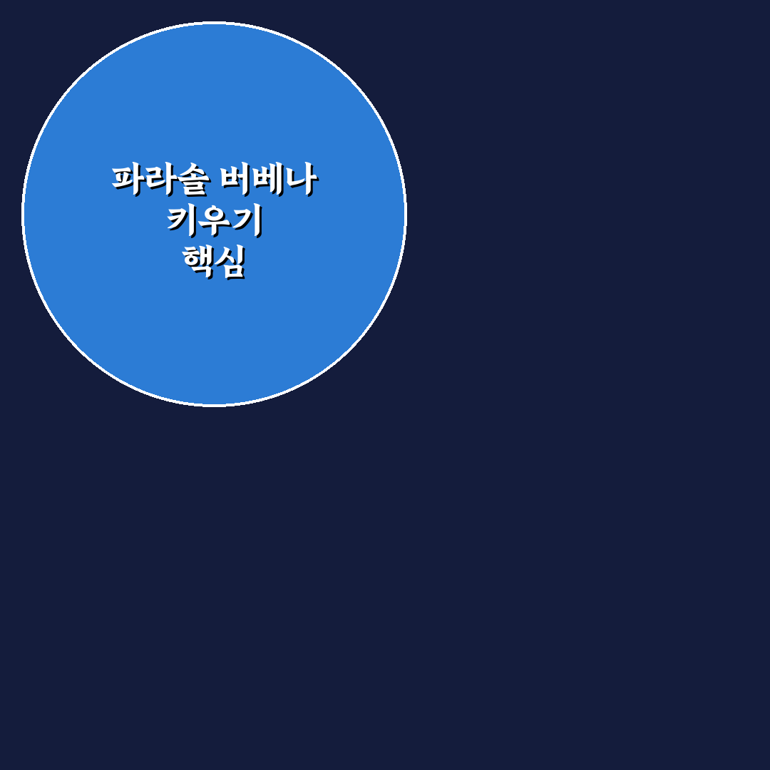 파라솔 버베나 모종 심기와 관리 꿀팁 알려드려요