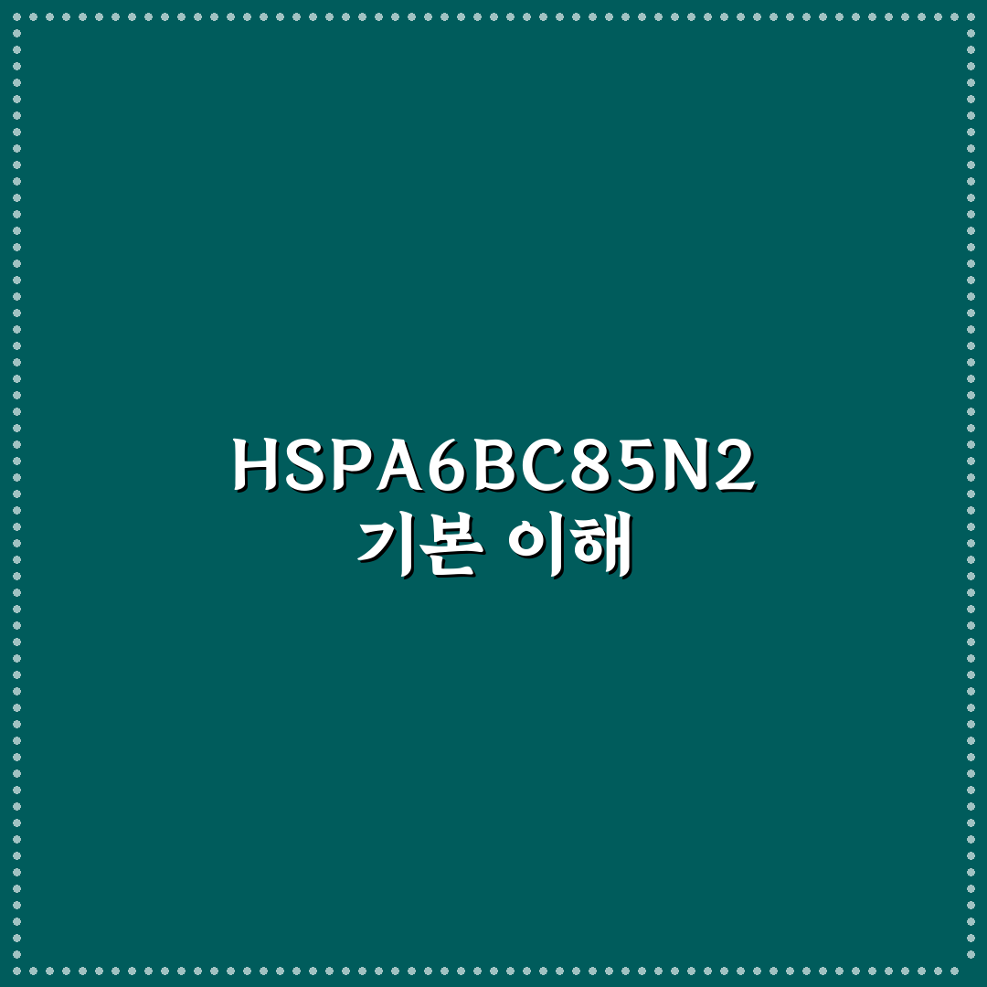 HSPA6BC85N2 활용법과 꿀팁 정리하기