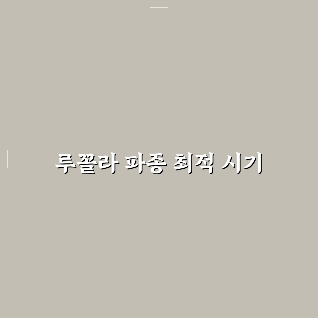 루꼴라 파종시기와 재배 꿀팁 쉽게 알려드려요